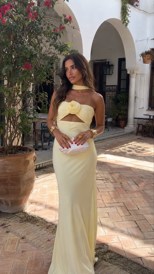 Vestido Minerva