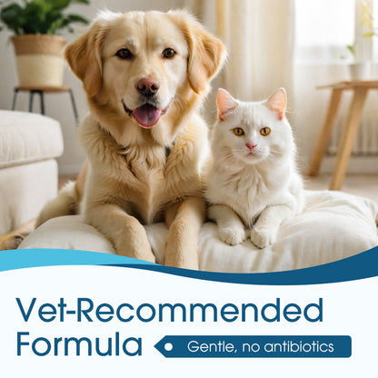 🐶🐱 Nettoyant pour oreilles | Soulage les démangeaisons chez les chiens et les chats 👂