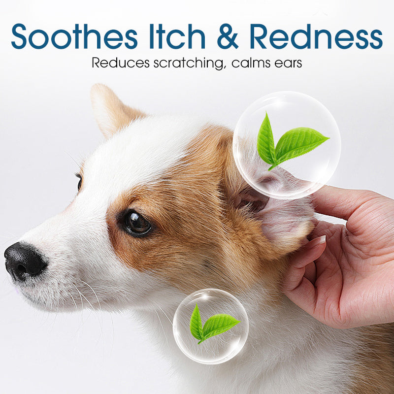 🐶🐱 Nettoyant pour oreilles | Soulage les démangeaisons chez les chiens et les chats 👂