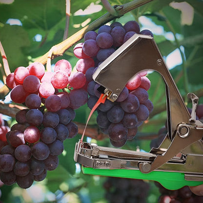 📢📢 38 % DE RÉDUCTION !! ⏰ Machine à lier les vignes et plantes universelle, légère et résistante