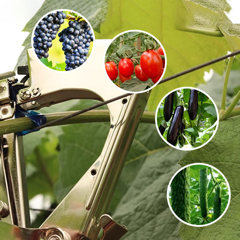 📢📢 38 % DE RÉDUCTION !! ⏰ Machine à lier les vignes et plantes universelle, légère et résistante