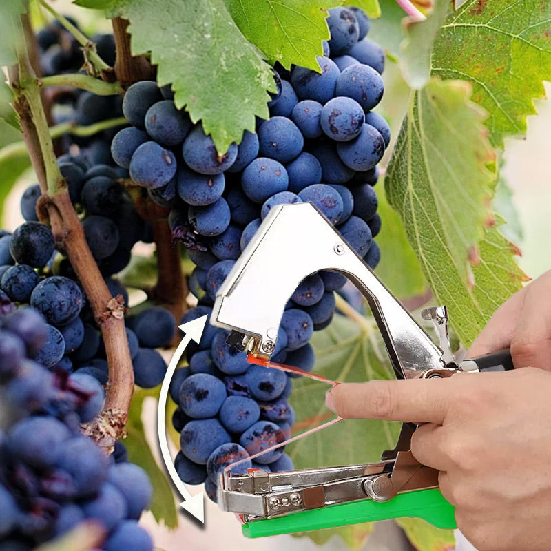 📢📢 38 % DE RÉDUCTION !! ⏰ Machine à lier les vignes et plantes universelle, légère et résistante