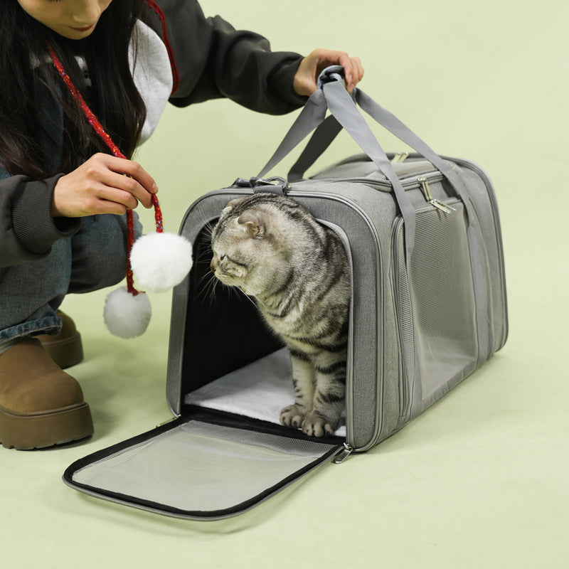 🐱🕸️🌬️ OFFRE LIMITÉE 50% DE RÉDUCTION! Sac de Transport Pliable en Maille pour Chat – Grand Format, Respirant, Bien Ventilé – Gardez Votre Compagnon à Fourrure Au Frais & Confortable Lors des Visites chez le Vétérinaire ou en Voyage 🏥🚗