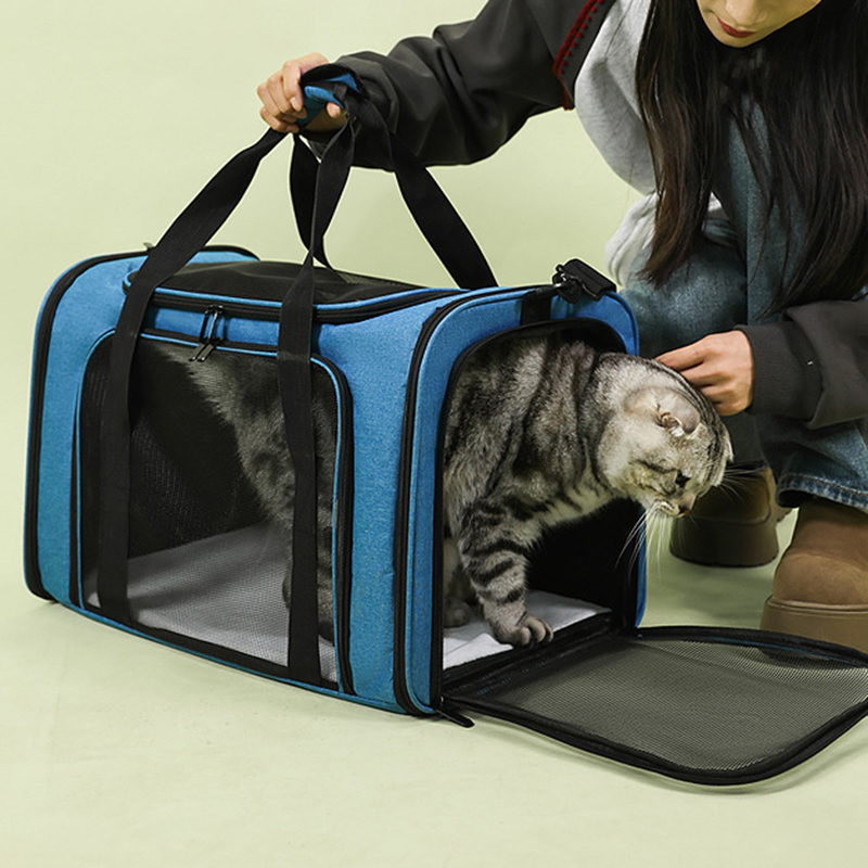 🐱🕸️🌬️ OFFRE LIMITÉE 50% DE RÉDUCTION! Sac de Transport Pliable en Maille pour Chat – Grand Format, Respirant, Bien Ventilé – Gardez Votre Compagnon à Fourrure Au Frais & Confortable Lors des Visites chez le Vétérinaire ou en Voyage 🏥🚗
