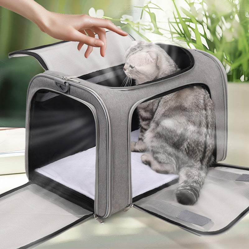 🐱🕸️🌬️ OFFRE LIMITÉE 50% DE RÉDUCTION! Sac de Transport Pliable en Maille pour Chat – Grand Format, Respirant, Bien Ventilé – Gardez Votre Compagnon à Fourrure Au Frais & Confortable Lors des Visites chez le Vétérinaire ou en Voyage 🏥🚗