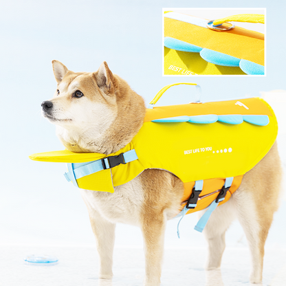 🐶🌊🛟 OFFRE LIMITÉE 50% DE RÉDUCTION! Gilet de Sauvetage Haute Flottabilité pour Chien – Maintient Votre Toutou en Sécurité, avec Bandes Réfléchissantes et Poignée de Sauvetage – Idéal pour Lacs, Plages ou Sorties en Bateau 🚤☀️