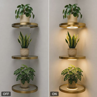 📢📢40% DE RÉDUCTION !! ⏰ Étagère murale flottante avec éclairage LED intégré – Design moderne, ambiance lumineuse & installation facile – Idéale pour salon, chambre & couloir ✨